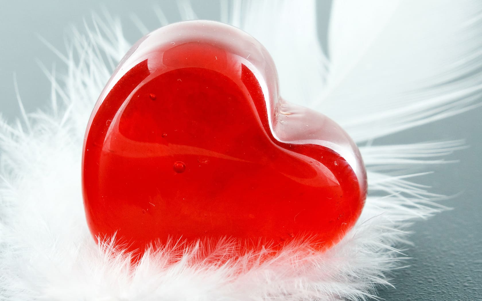 Beautiful Images of Hearts - 240 High-Quality Photos for Free