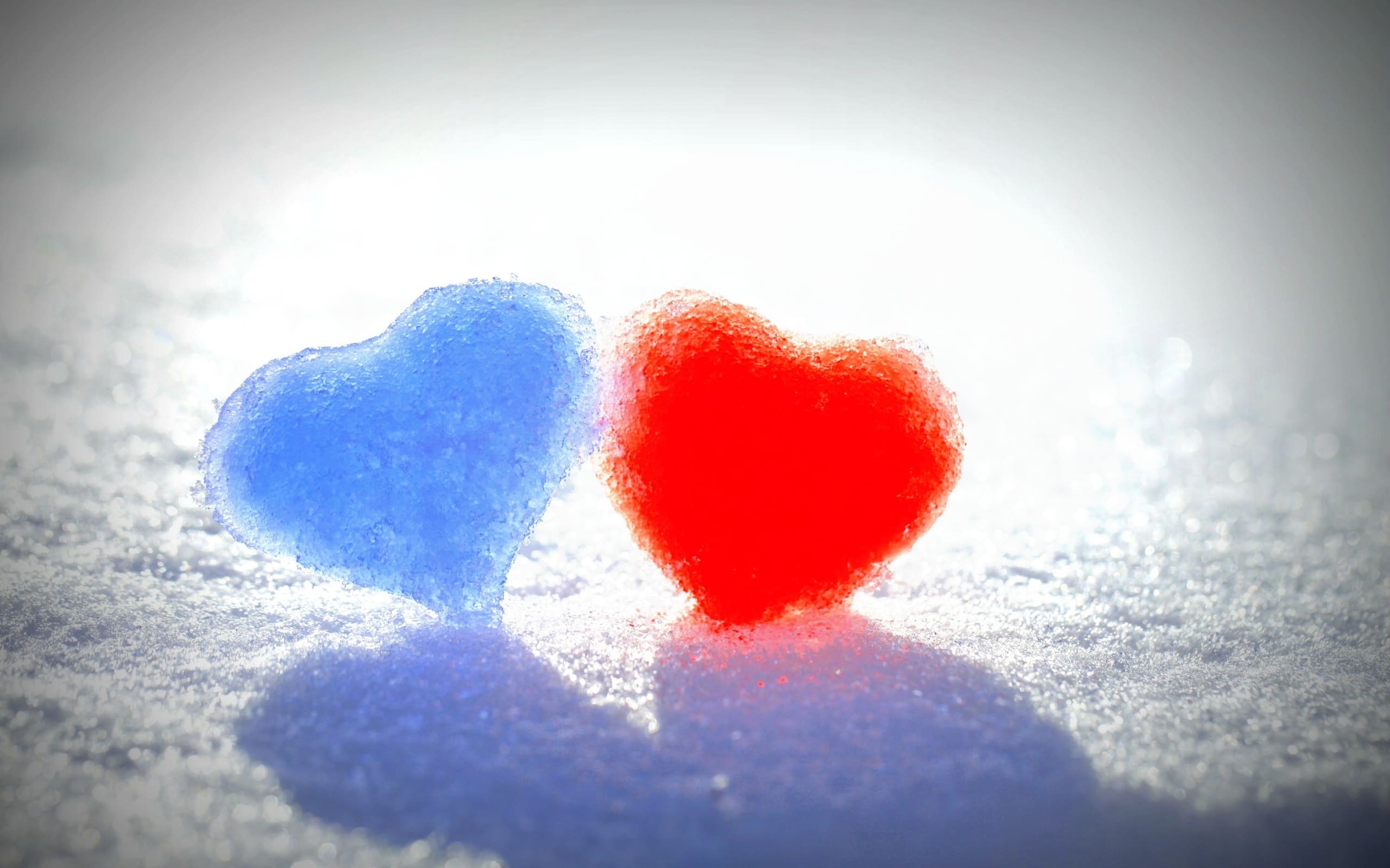 Beautiful Images of Hearts - 240 High-Quality Photos for Free