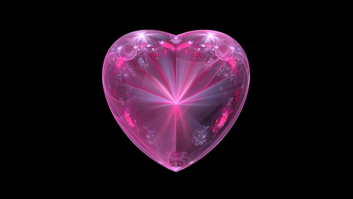 Beautiful Images of Hearts - 240 High-Quality Photos for Free