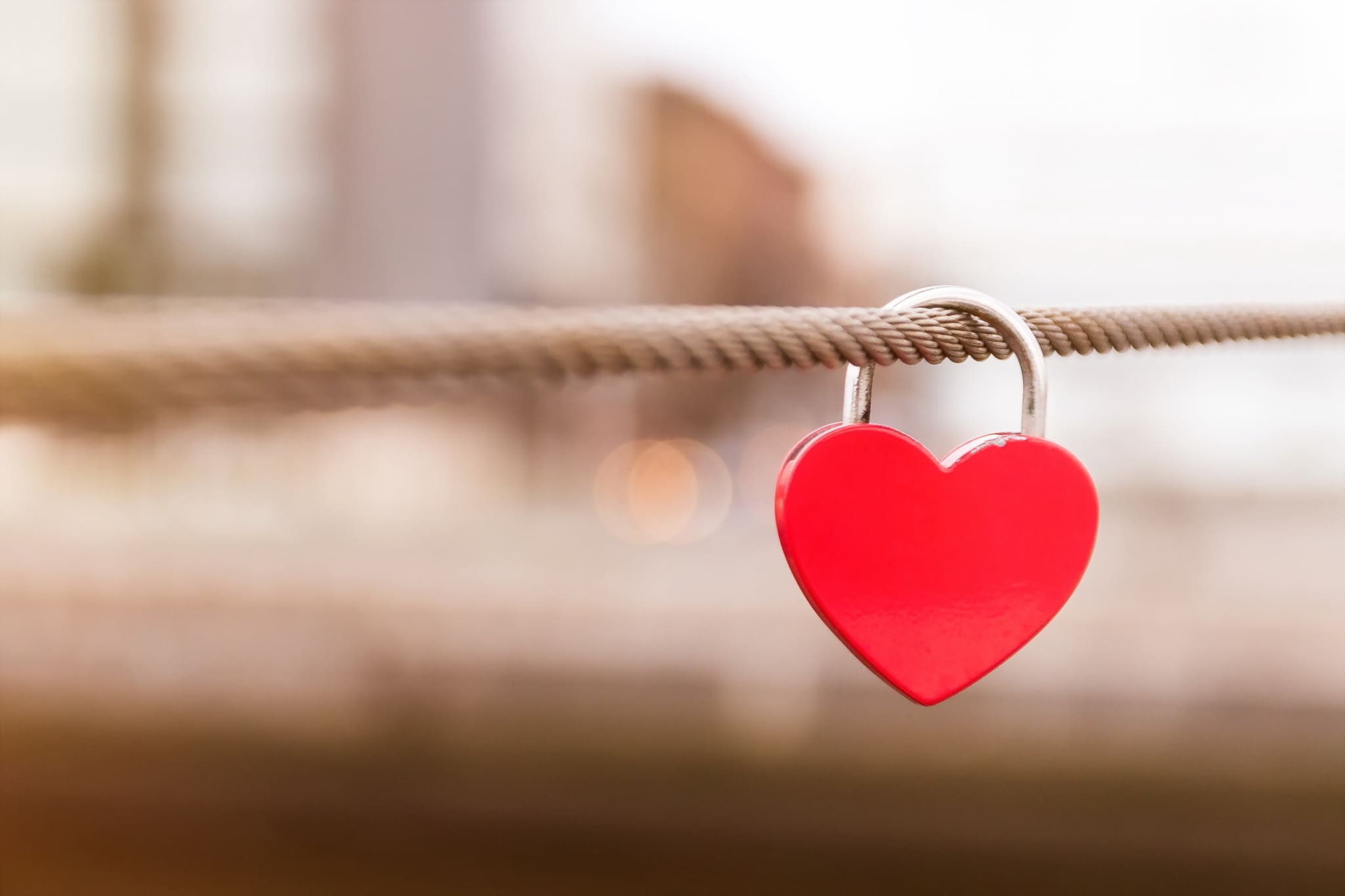 Beautiful Images of Hearts - 240 High-Quality Photos for Free