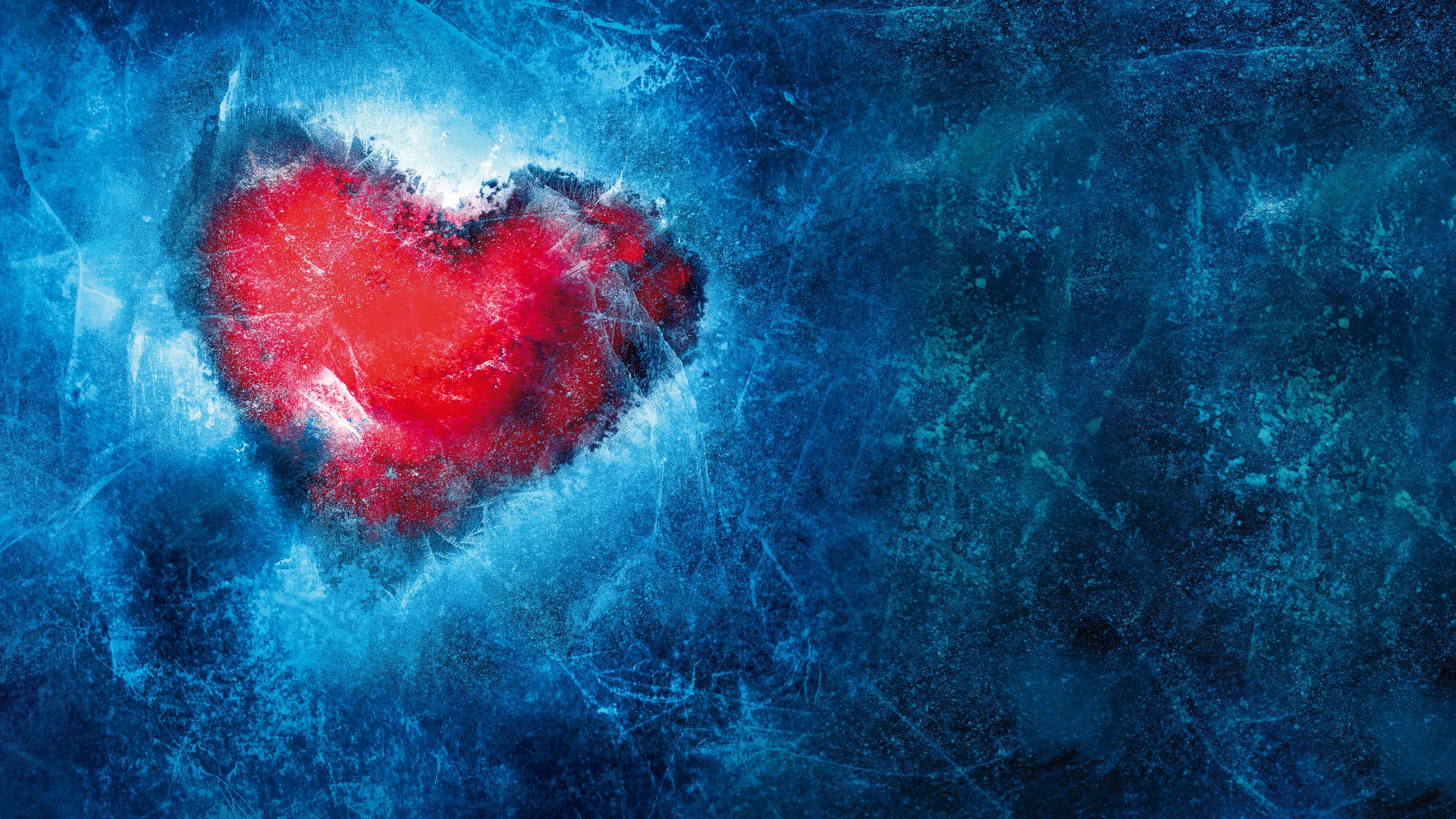 Beautiful Images of Hearts - 240 High-Quality Photos for Free