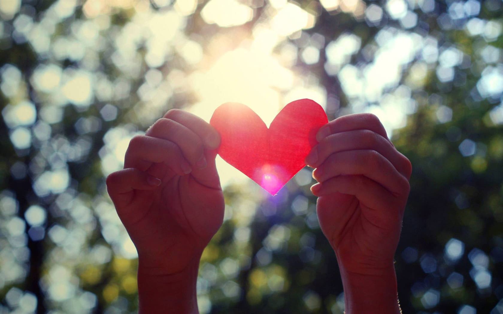 Beautiful Images of Hearts - 240 High-Quality Photos for Free