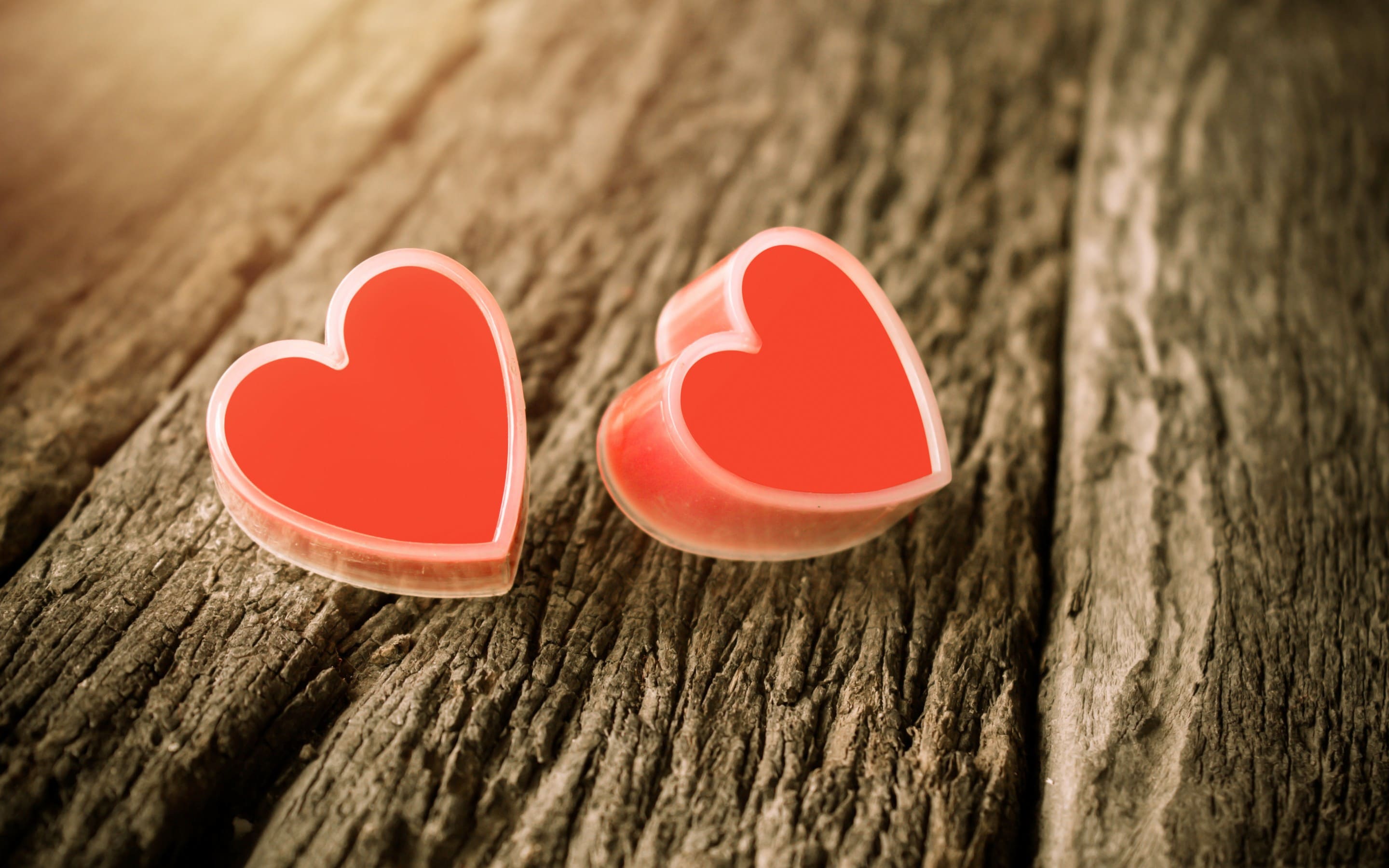 Beautiful Images of Hearts - 240 High-Quality Photos for Free