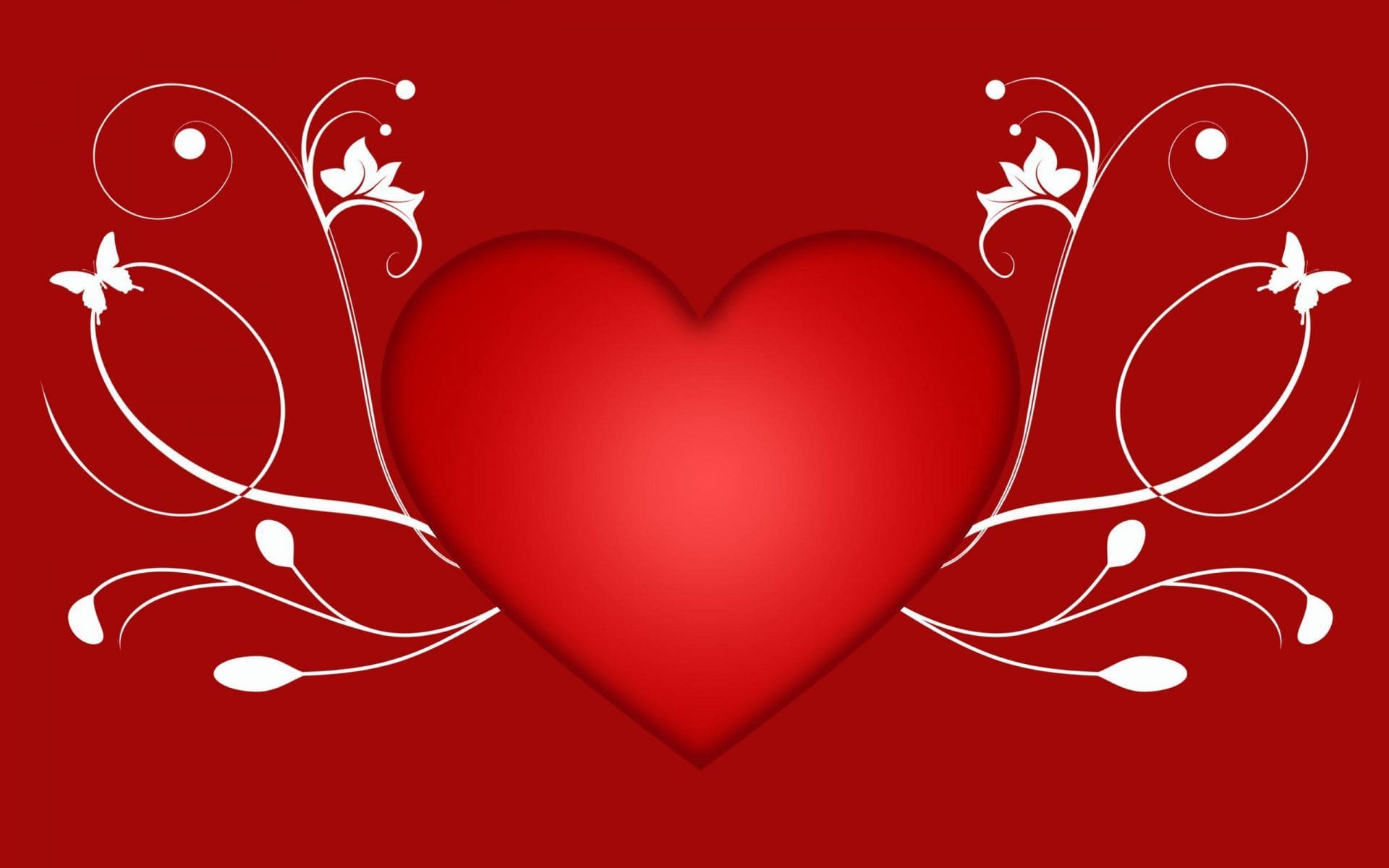 Beautiful Images of Hearts - 240 High-Quality Photos for Free