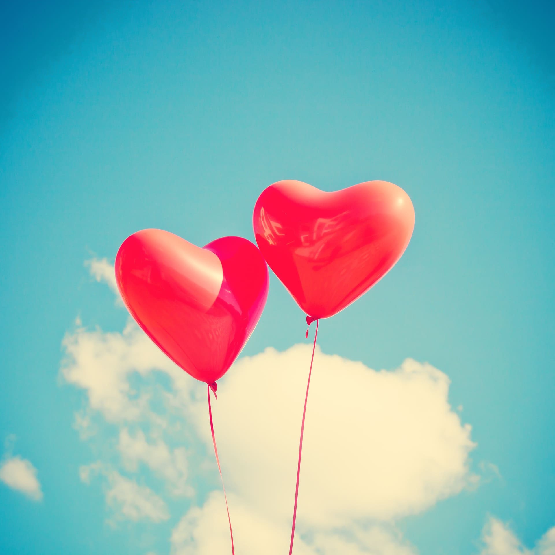 Beautiful Images of Hearts - 240 High-Quality Photos for Free