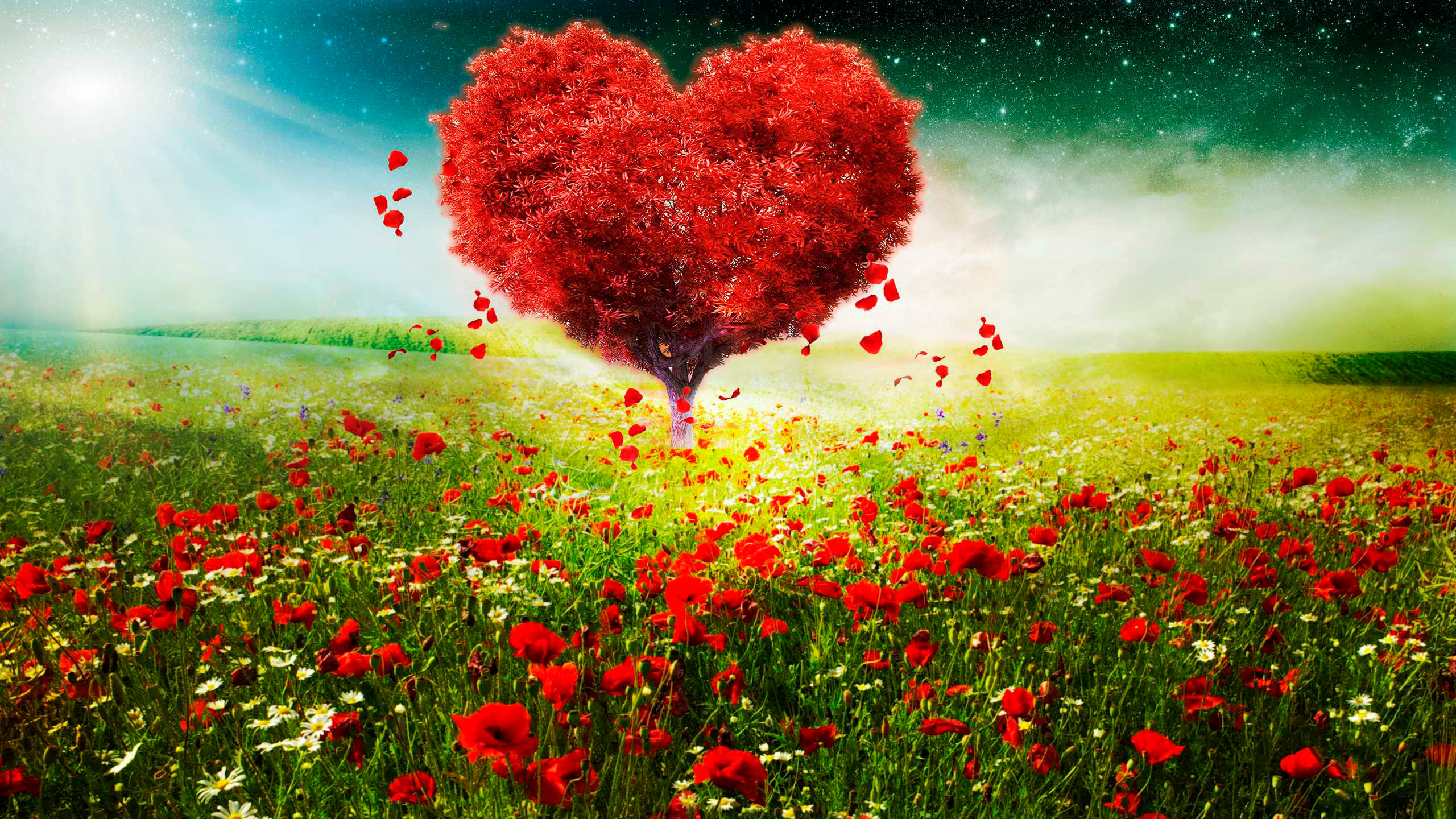 Beautiful Images of Hearts - 240 High-Quality Photos for Free