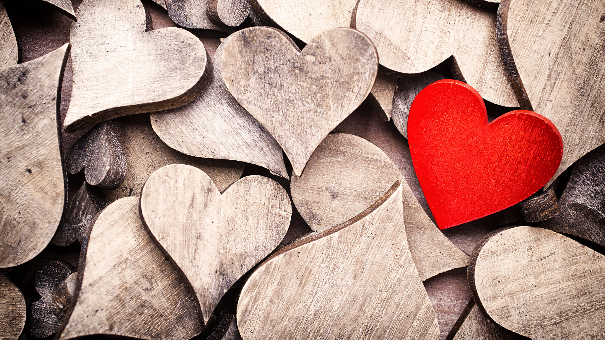 Beautiful Images of Hearts - 240 High-Quality Photos for Free