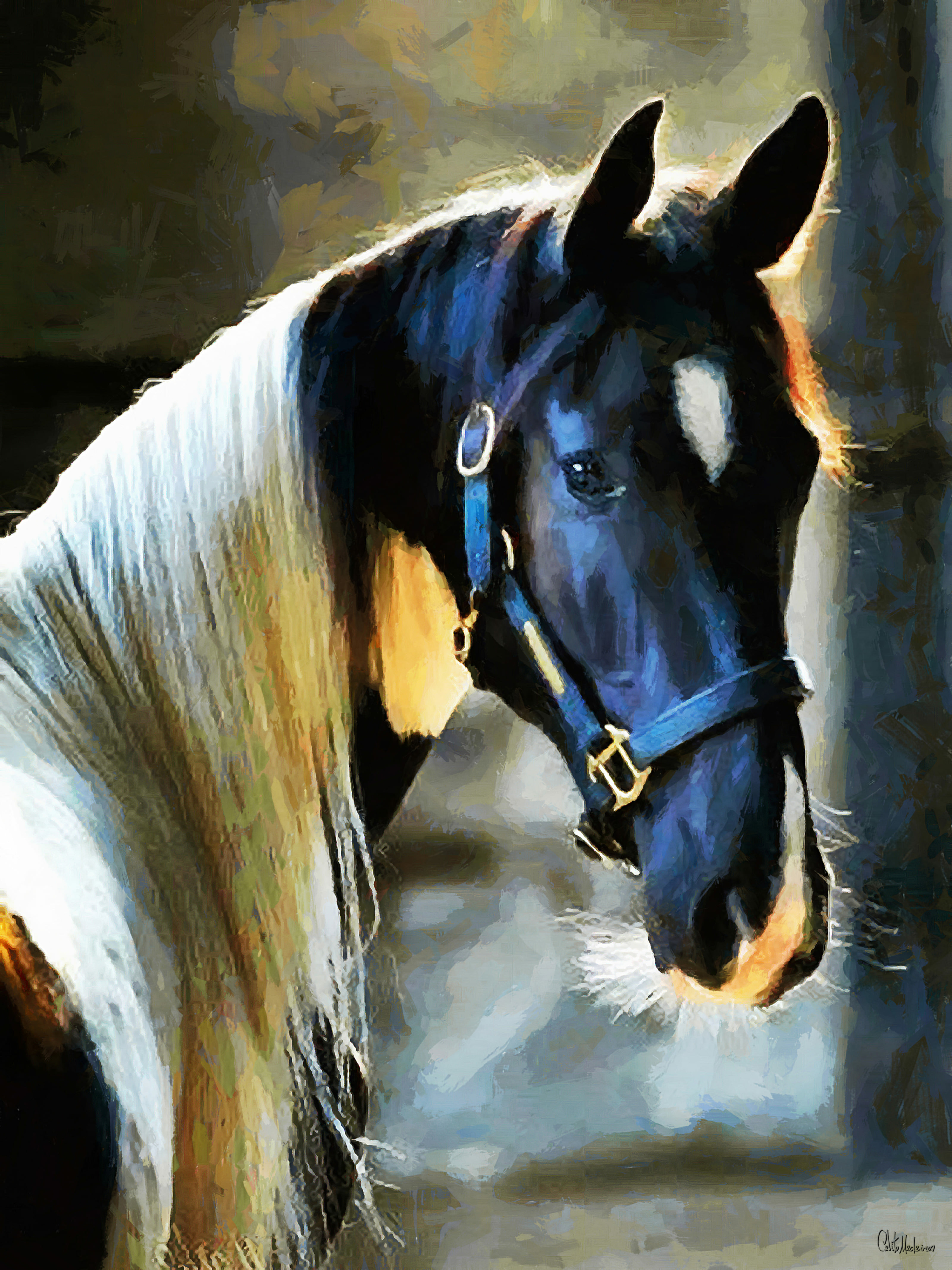 Про лошадей красивый. Фризская Аппалуза. Красивые лошади. Красивый конь. Самый красивый конь.