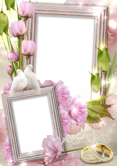 Photo Frames on Transparent Background in PNG Format. 180 Images