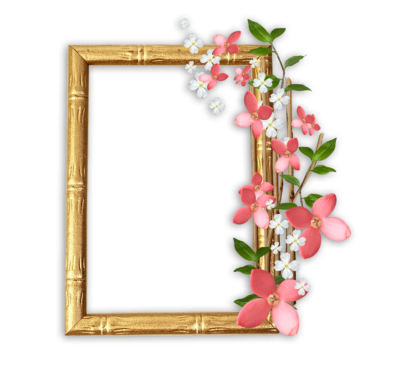 Photo Frames on Transparent Background in PNG Format. 180 Images