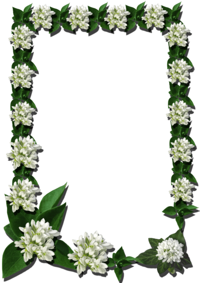 Photo Frames on Transparent Background in PNG Format. 180 Images