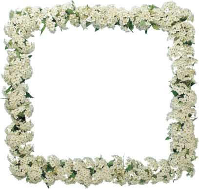 Photo Frames on Transparent Background in PNG Format. 180 Images