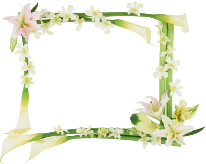 Photo Frames on Transparent Background in PNG Format. 180 Images