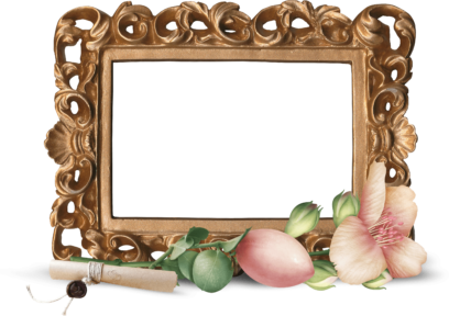 Photo Frames on Transparent Background in PNG Format. 180 Images