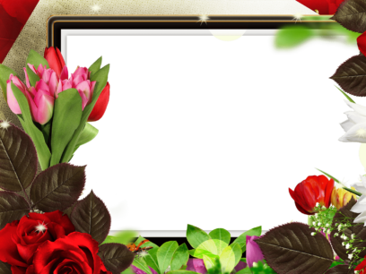 Photo Frames on Transparent Background in PNG Format. 180 Images