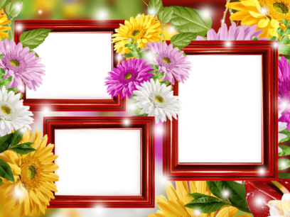 Photo Frames on Transparent Background in PNG Format. 180 Images