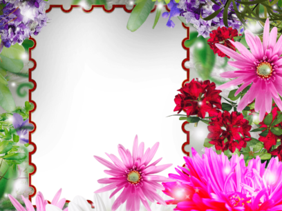 Photo Frames on Transparent Background in PNG Format. 180 Images