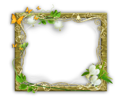 Photo Frames on Transparent Background in PNG Format. 180 Images