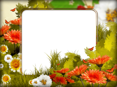 Photo Frames on Transparent Background in PNG Format. 180 Images