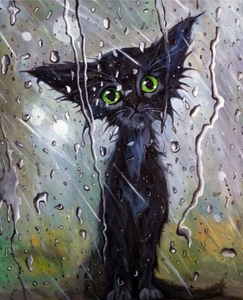 悲しい猫の写真。写真、クリップアート、悲しみの猫の画像
