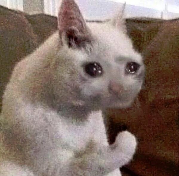 Bilder von traurigen Katzen. Fotos, Cliparts von Katzen in Trauer