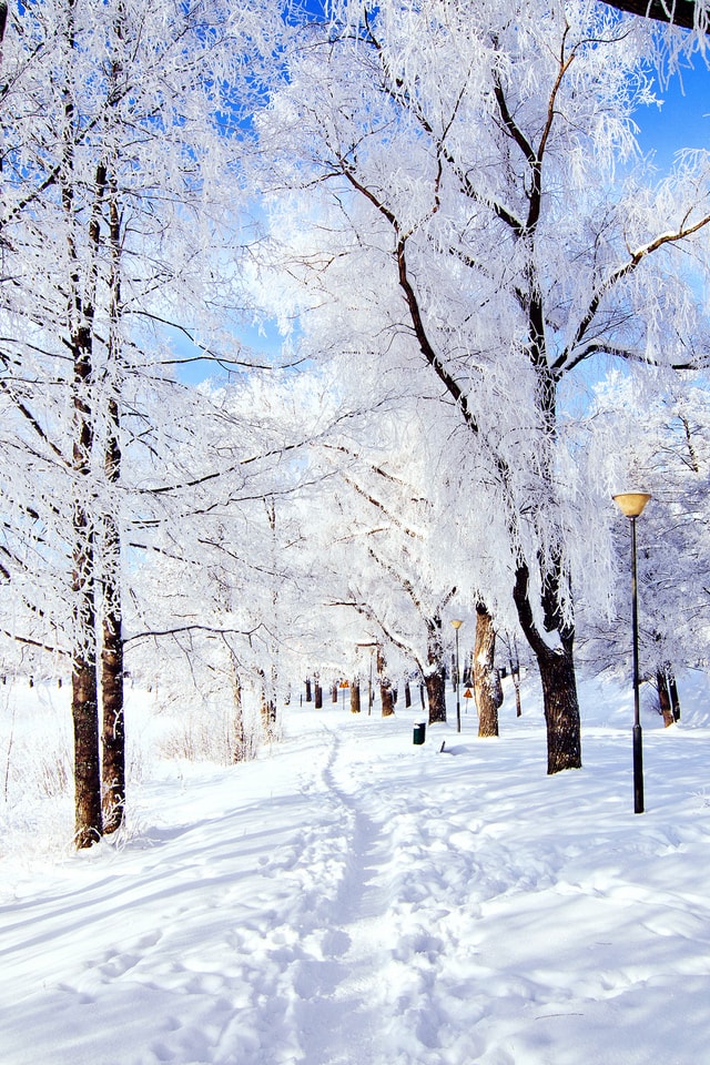 お使いの携帯電話のための美しい冬の写真。無料で100枚の画像
