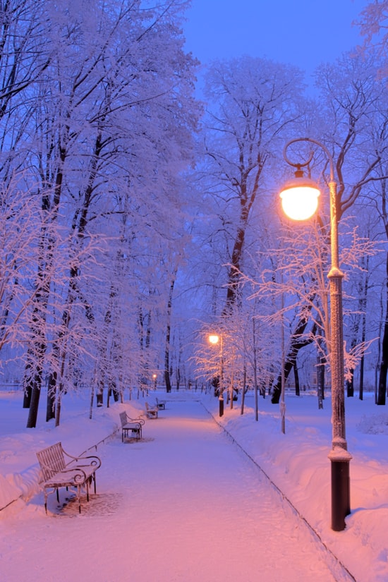 Beautiful Winter Pictures for Your Phone. 100 Images For Free