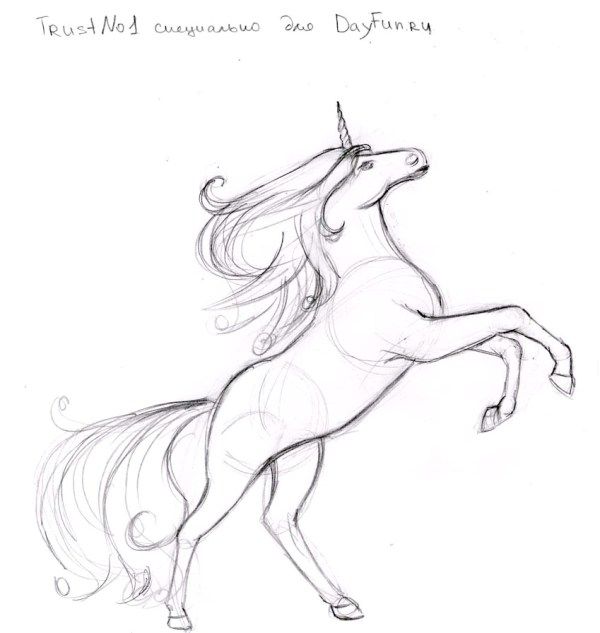 Belle Immagini Di Unicorni Per Disegnare Disegni Semplici E Complessi