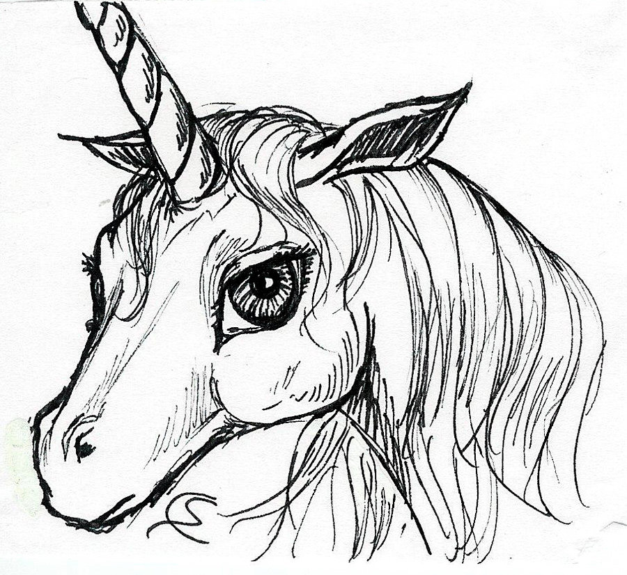 Belle Immagini Di Unicorni Per Disegnare Disegni Semplici E Complessi